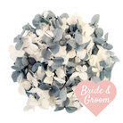 Small White and Dusty Blue Hydrangea Petals