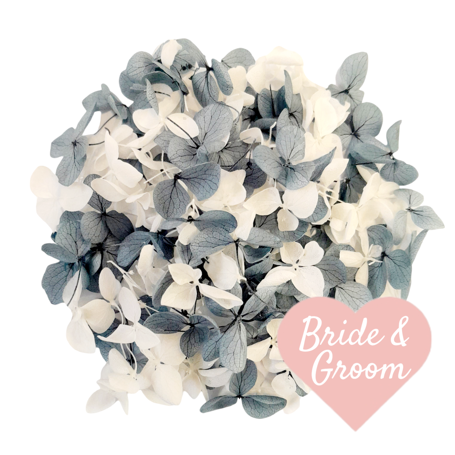 Small White and Dusty Blue Hydrangea Petals