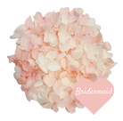 Small Ivory and Pink Hydrangea Petals.