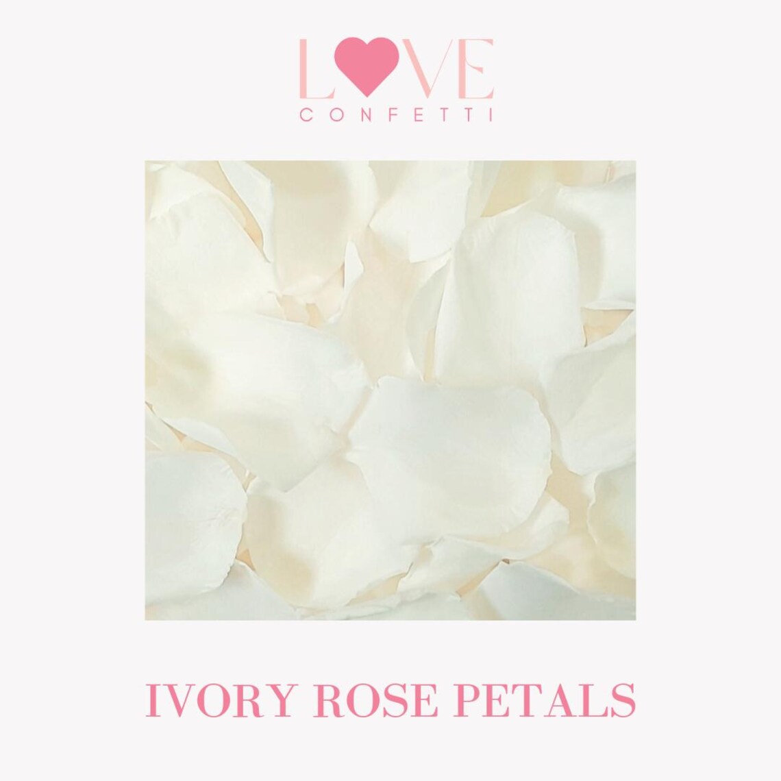 Wedding Confetti Ivory Rose Petals Flower Confetti