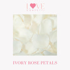 Wedding Confetti Ivory Rose Petals Flower Confetti