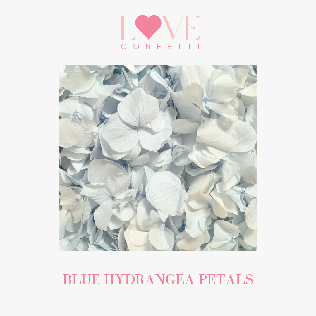 Light Blue Hydrangea Petals 