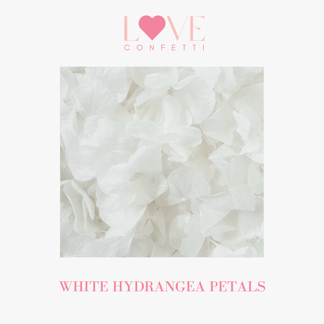 White Hydrangea Petals Wedding Flower Petal Confetti