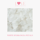 White Hydrangea Petals Wedding Flower Petal Confetti